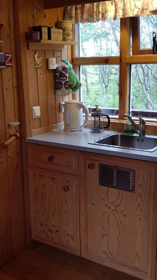Cozy Cabin In The Woods سيلفوس المظهر الخارجي الصورة